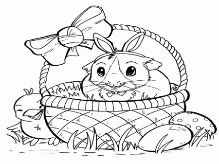 baby guinea pig coloring pages | Best Coloring Page Site