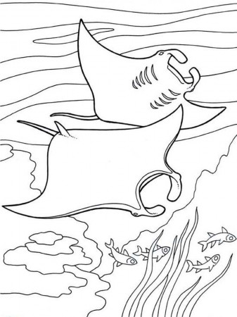Manta Ray Coloring Pages. Moving like a graceful bird in the sea, manta rays  are one of the div… | Dolphin coloring pages, Animal coloring pages, Fish coloring  page