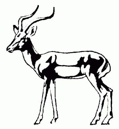 Impala coloring - Free Animal coloring pages sheets Impala