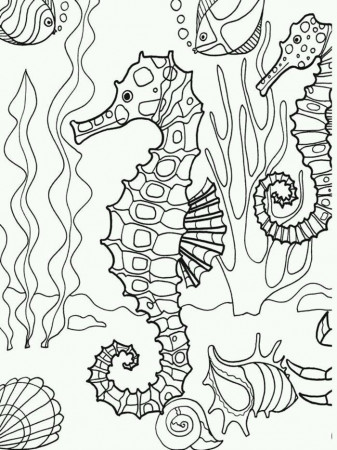 Underwater Seahorse Coloring Page Adultcp Beachy Adult 18557 ...