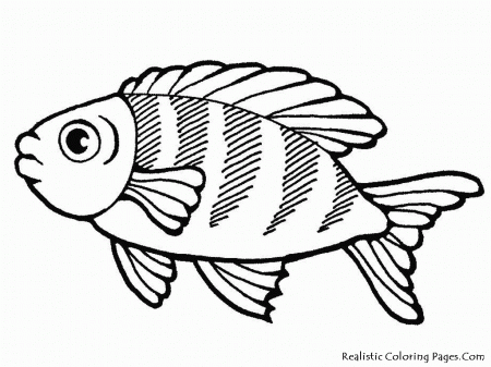 11 Pics of Free Coloring Pages Sea Life - Sea Life Coloring Pages ...