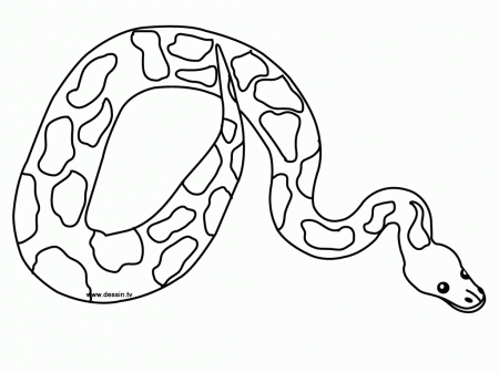 Coloring python snake