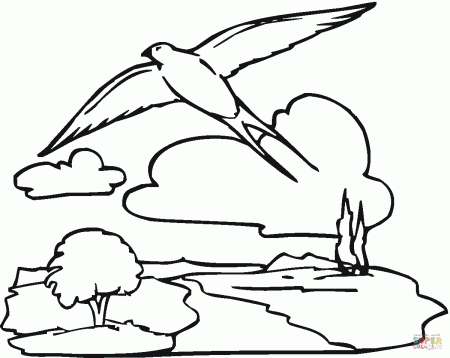 Birds Flying In Sky Coloring Page Sketch Coloring Page