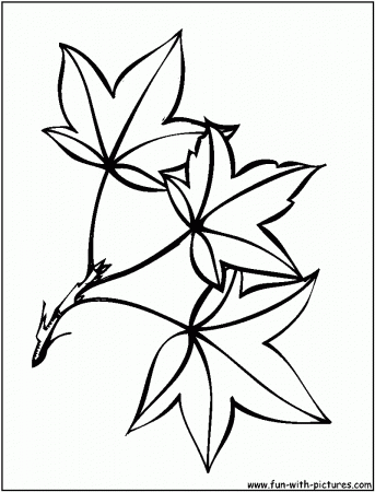 Related Leaf Coloring Pages item-13094, Leaf Coloring Pages Fall ...