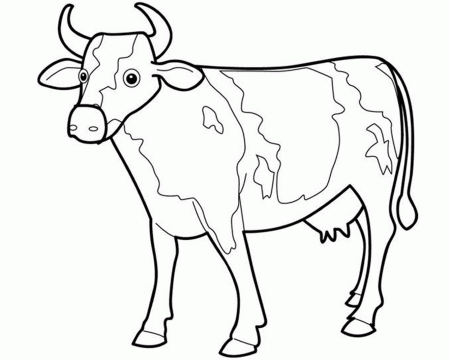 Animal Cow Coloring Pages | Animal Coloring pages of ...