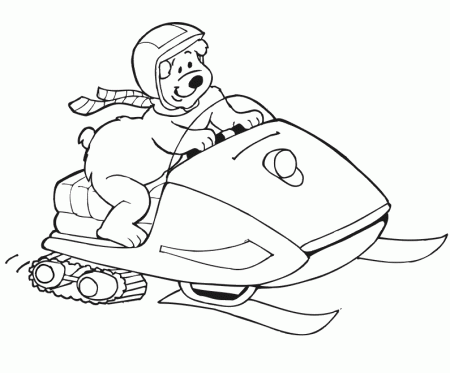 polar bear skiing coloring pages - Clip Art Library