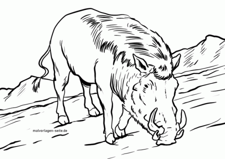Coloring page warthog | Animals - Free Coloring Pages