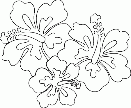Hawaiian Flower Coloring Page WeColoringPage 21 | Wecoloringpage