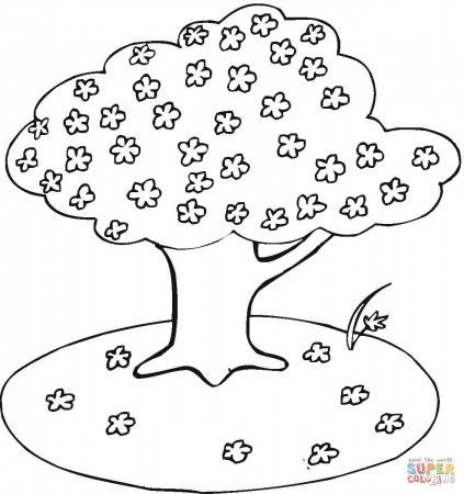 Cherry Blossoms coloring page | Free Printable Coloring Pages