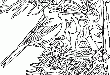Sparrow coloring page - Animals Town - Animal color sheets Sparrow ...