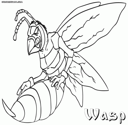 Wasp coloring pages | Coloring pages to download and print