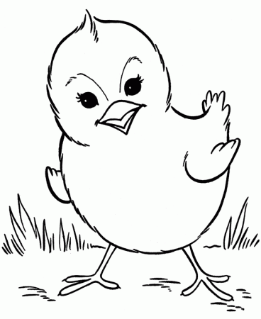 Farm Animal Coloring Pages | Spring baby chick Coloring Page and 