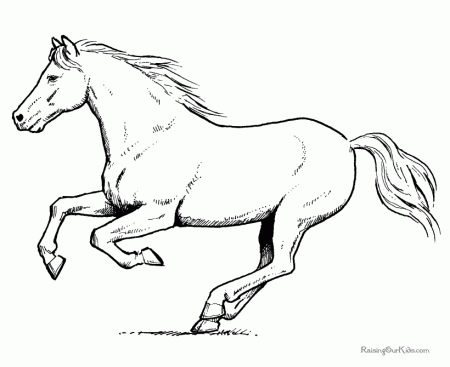 Horse coloring sheet 039