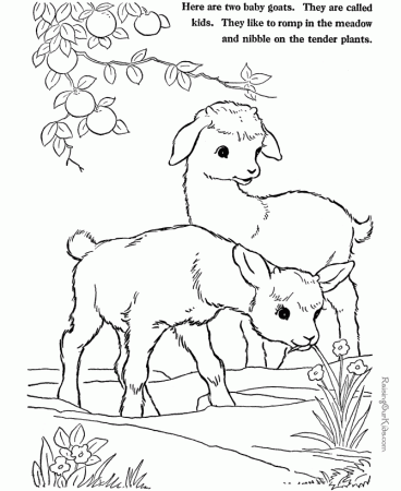Farm Animal coloring pages - Goats to print and color 002
