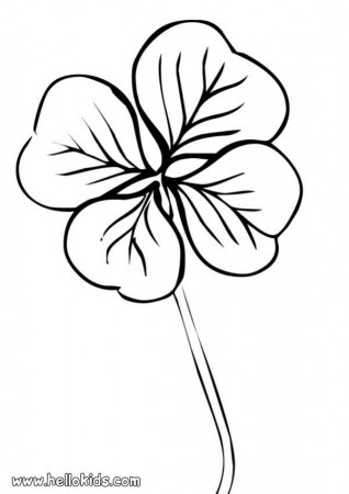 ST. PATRICK'S DAY coloring pages - Clover