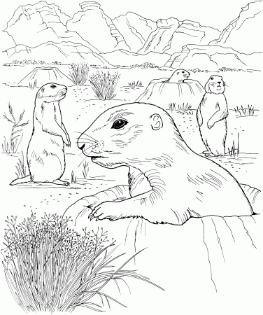 Grassland Coloring Page