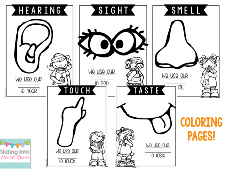 Five Senses Coloring Pages (19 Pictures) - Colorine.net | 4930
