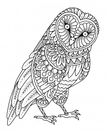 Premium Vector | Owl mandala decorative design. coloring page