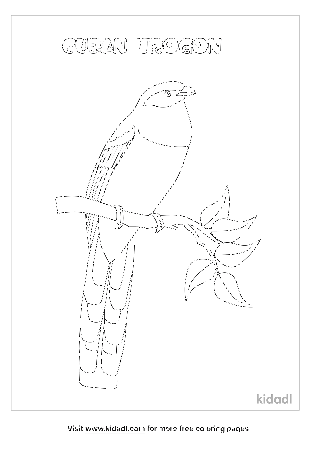 Cuban Trogon Coloring Pages | Free Birds Coloring Pages | Kidadl
