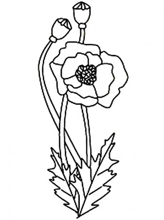 California Poppy Coloring Page for Kids: California Poppy Coloring ...