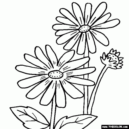 Wild Flowers Coloring Pages