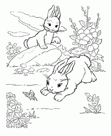Rabbits Coloring Pages : Two Rabbits Playing In The Garden 