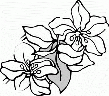 Flowers To Color | Coloring Pages