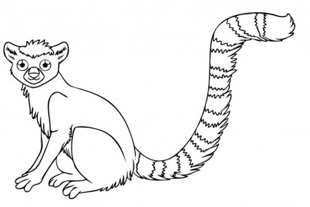 7 Pics of Endangered Rainforest Animals Coloring Pages - Tropical ...