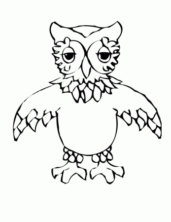 Owl Coloring Pages About Birds Netbird Php Id 48561 240143 Great 
