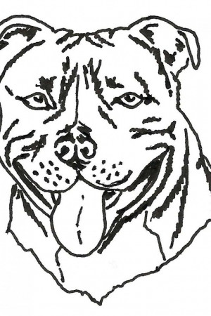 dog breed coloring pages | Printable Coloring Pages For Kids 