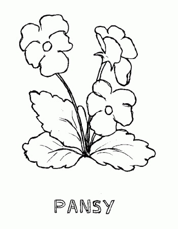 spring flowers coloring pages