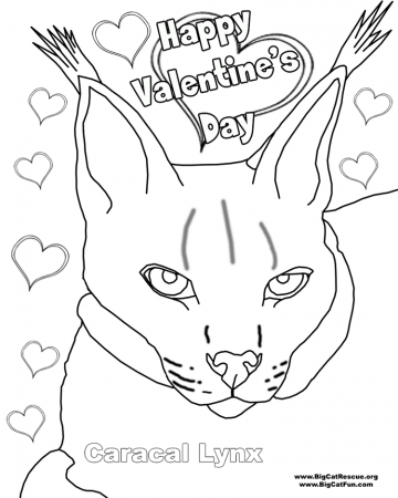 valentine-coloring-page- 