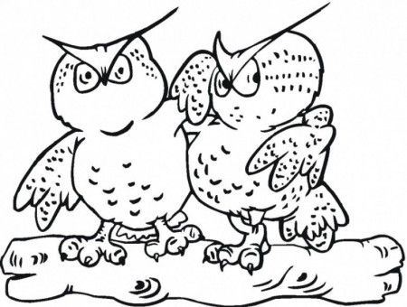 Great Horned Owl Coloring Pages - Kids Colouring Pages