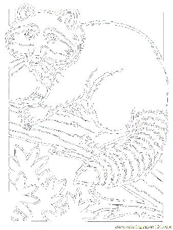 coloring-pages-of-raccoons-341.jpg