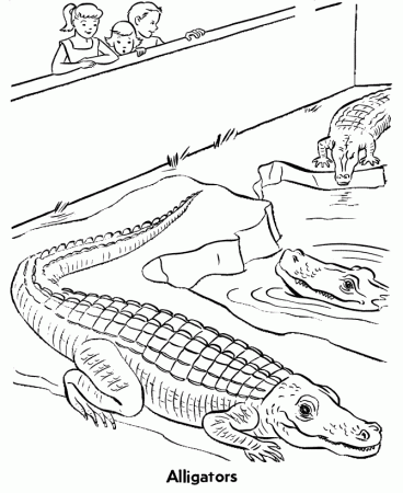 Reptile Coloring Pages | Coloring Pages