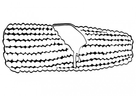 Coloring page corn on the cob - img 10175.