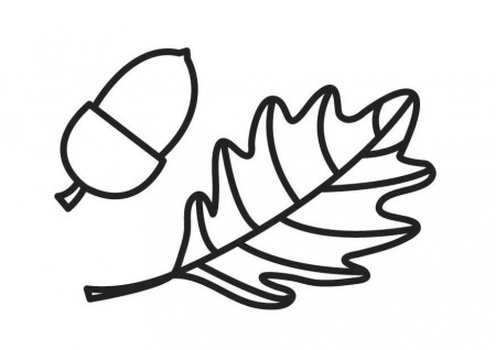 Coloring page Acorn and Acorn Leaf - img 18550.