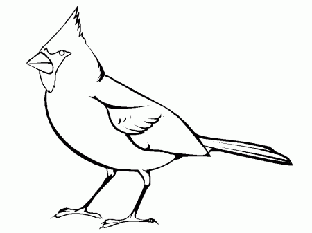 lettthe crow Colouring Pages