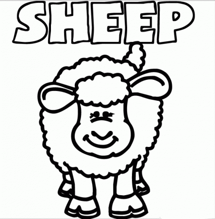 sheep-coloring-pages copy | Kids Cute Coloring Pages