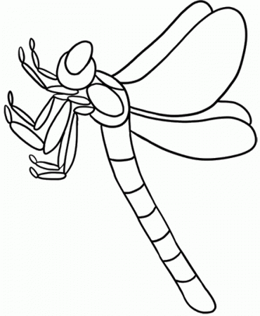 Animal Coloring Pages : Pictures Dragonfly Coloring Page Kids 