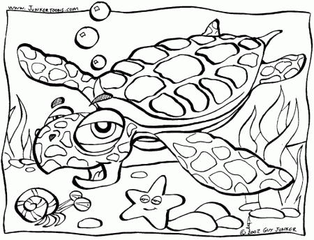 Turtle Coloring PagesColoring Pages | Coloring Pages