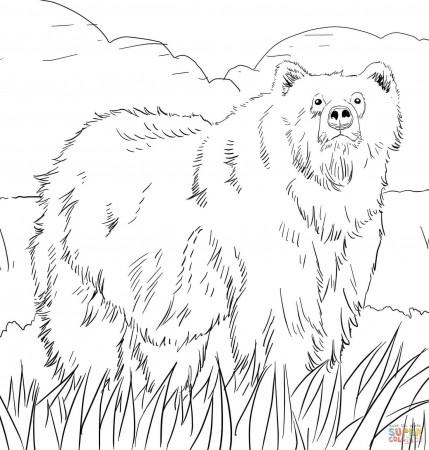 Woodland animals coloring pages | Free Printable Pictures