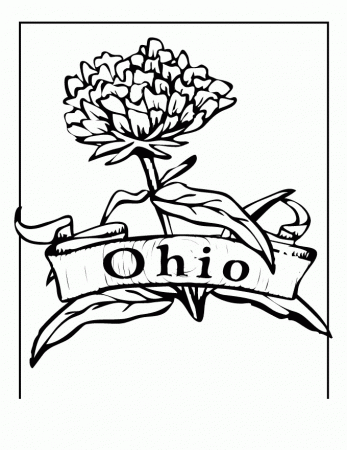 ohio state buckeyes coloring pages - High Quality Coloring Pages