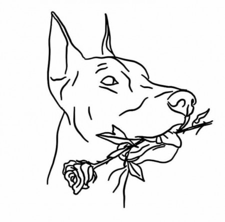 Easy Doberman Drawings (40 Images) | WONDER DAY — Coloring pages for  children and adults