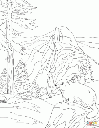 Yosemite National Park coloring page | Free Printable Coloring Pages in  2023 | Coloring pages, Camping coloring pages, Free printable coloring pages