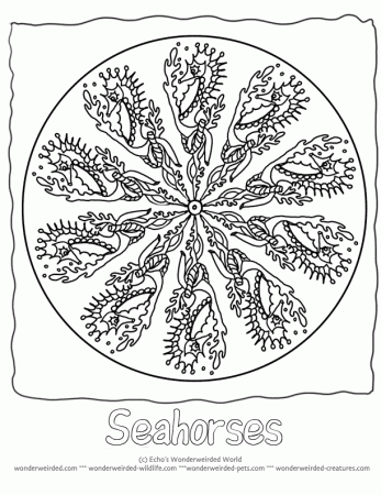 Seahorse Animal Mandalas To Color,Free Seahorse Coloring Pages ...