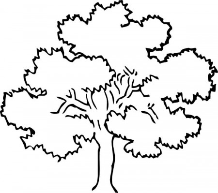 Awesome Drawing Oak Tree Coloring Page : Color Luna