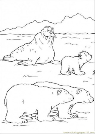 Polar Bears And Walrus Coloring Page - Free The Little Polar Bear ...