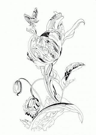 Botany - Coloring Pages for Kids and for Adults