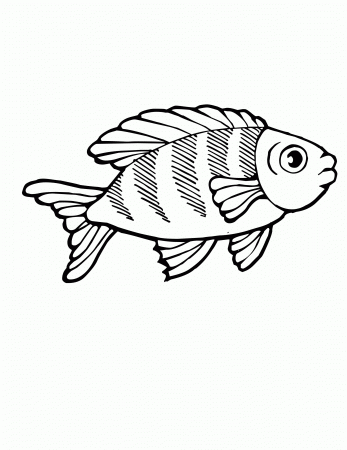 Marine Fish Coloring Pages - Coloring Page